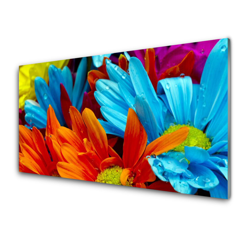 Tableau sur verre Gros plan sur des fleurs colorées