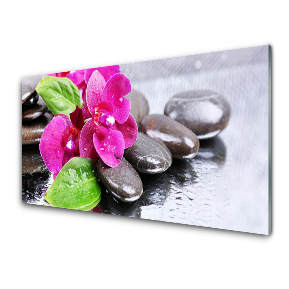 Tableau imprimé sur verre Fleur d'orchidée