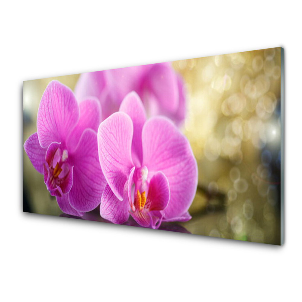 Tableau sur verre Fleurs Plante de la nature