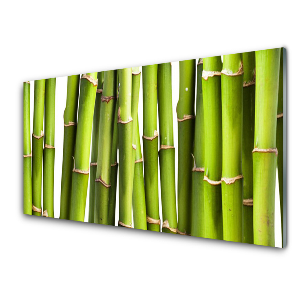 Tableau photo sur verre Pousses de bambou vertes