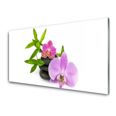 Tableau verre imprimé Fleurs d'orchidées sur fond blanc