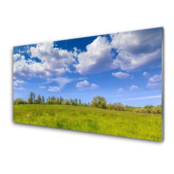 Tableau sur verre Ciel bleu sur une prairie