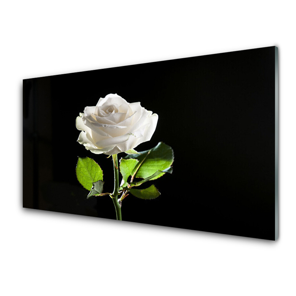 Tableau imprimé sur verre Rose blanche sur fond noir