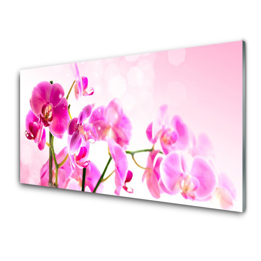 Tableau verre imprimé Fleurs roses d'une orchidée