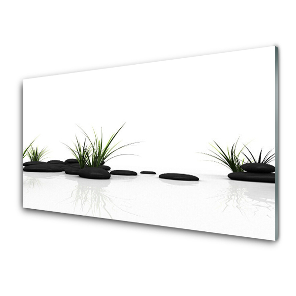 Tableau imprimé sur verre Herbe et pierres noires fond blanc