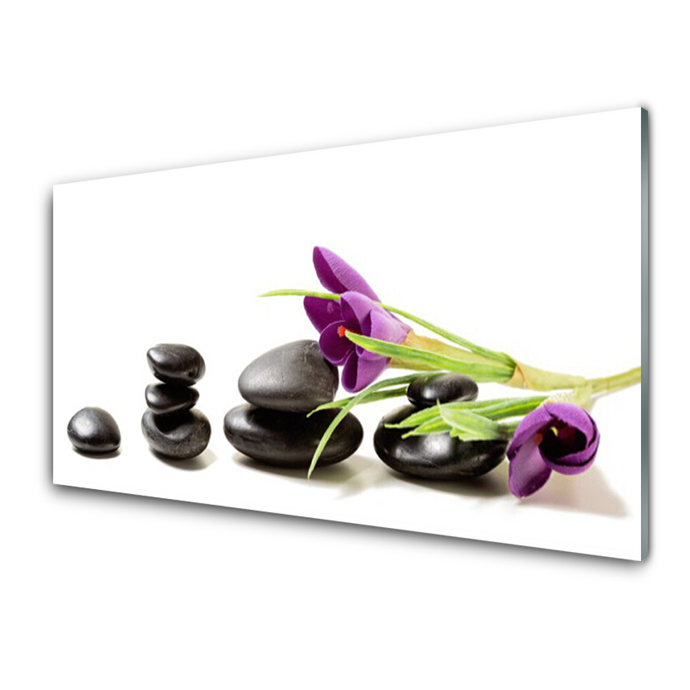 Tableau photo sur verre Crocus violet sur pierres