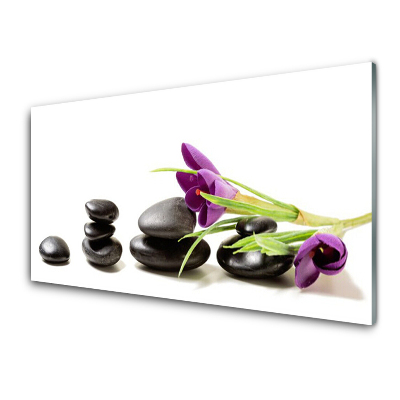 Tableau photo sur verre Crocus violet sur pierres