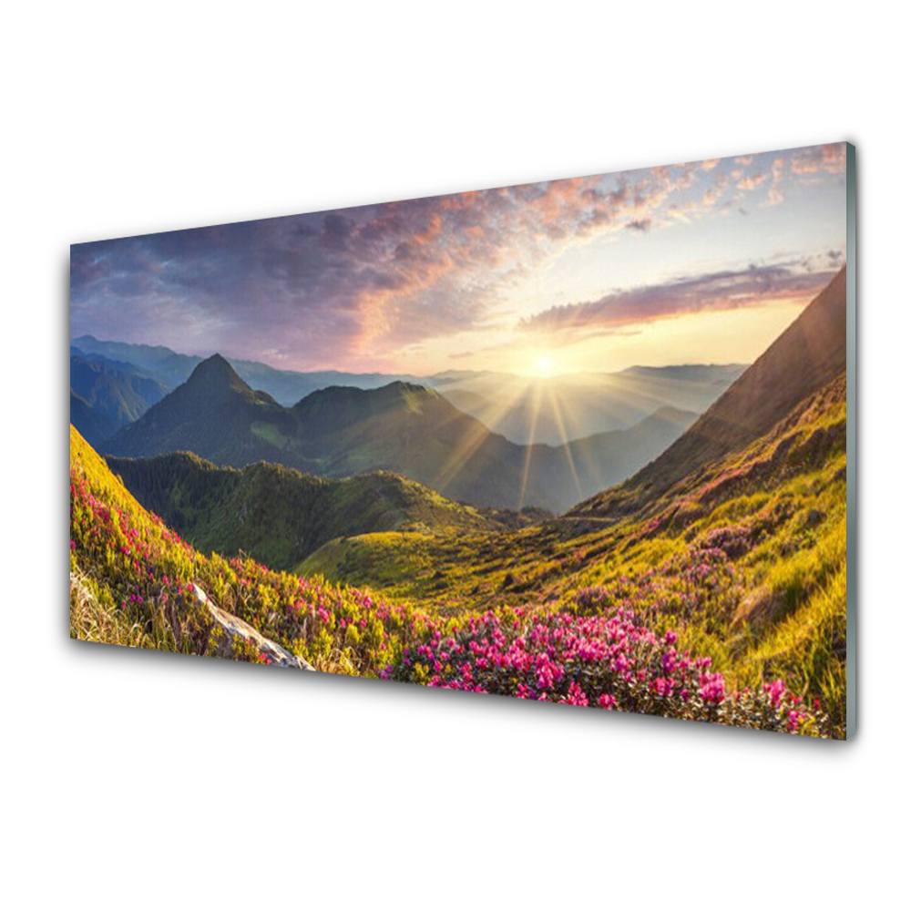Tableau en verre Prairie de montagne ensoleillée