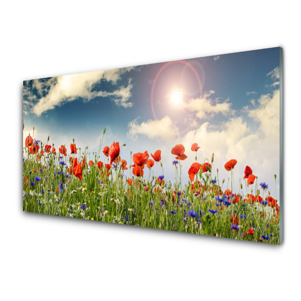 Tableau sur verre Prairie de coquelicots et de bleuets