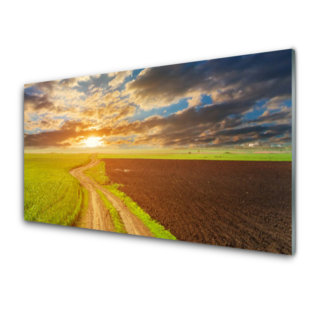 Tableau imprimé sur verre Route au bord du champ Soleil