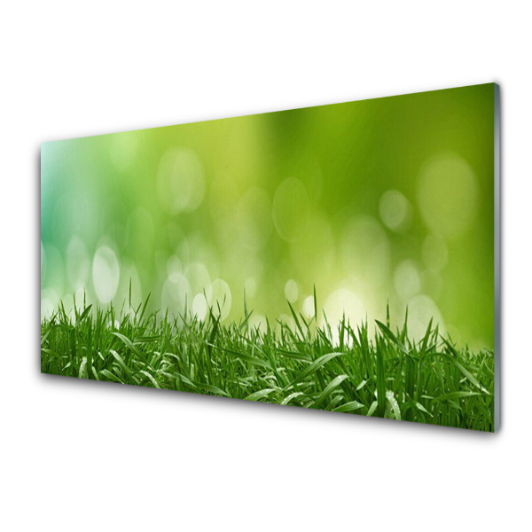 Tableau photo sur verre Herbe Plante naturelle