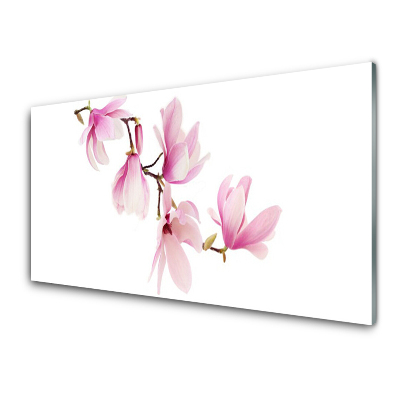 Tableau verre imprimé Fleurs de magnolia fond blanc