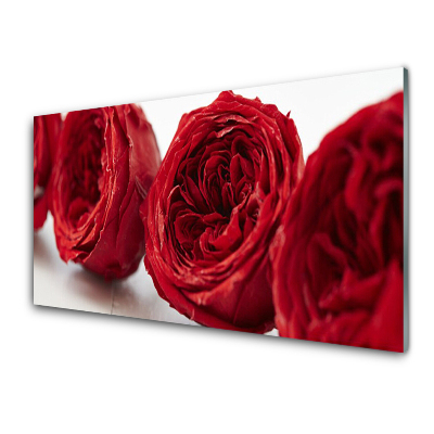 Tableau imprimé sur verre Roses Fleurs rouges Plante
