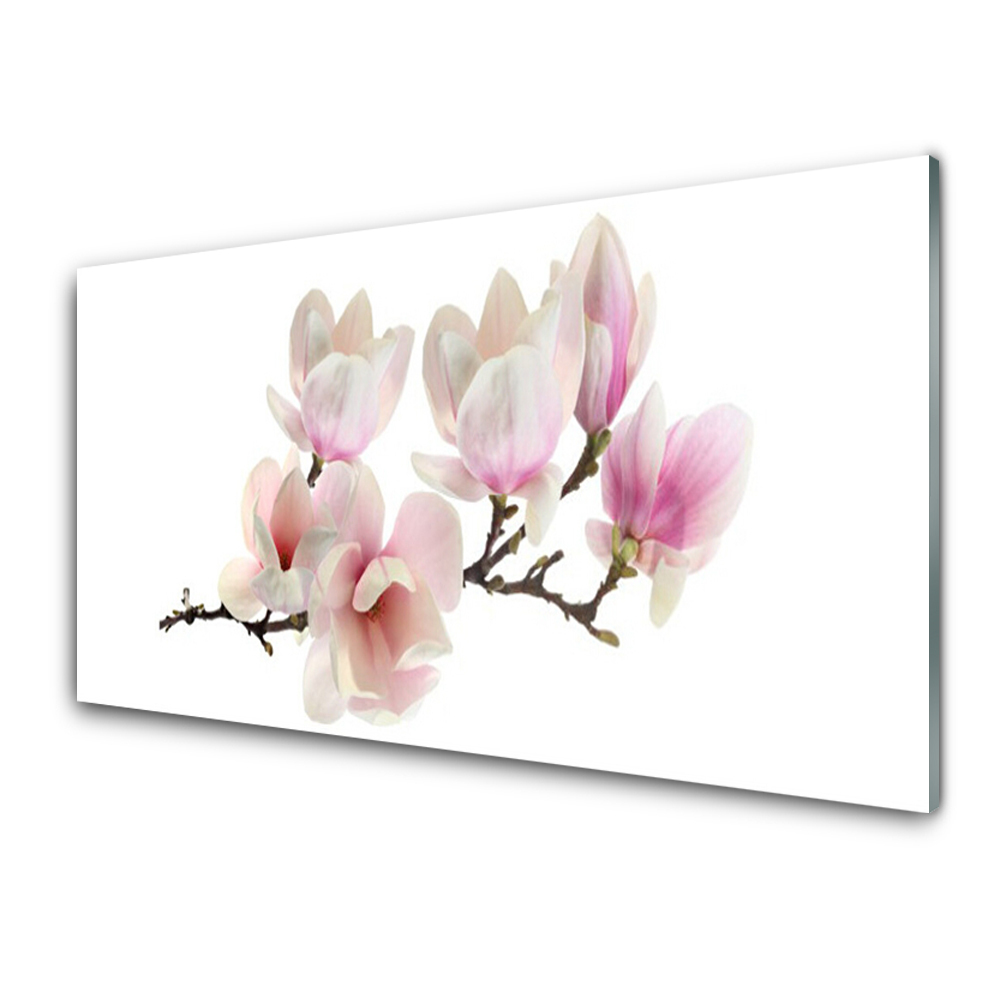 Tableau verre imprimé Branche de magnolia Fond blanc
