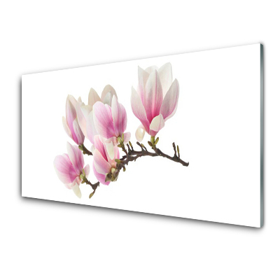 Tableau photo sur verre Fleurs de magnolia sur une branche