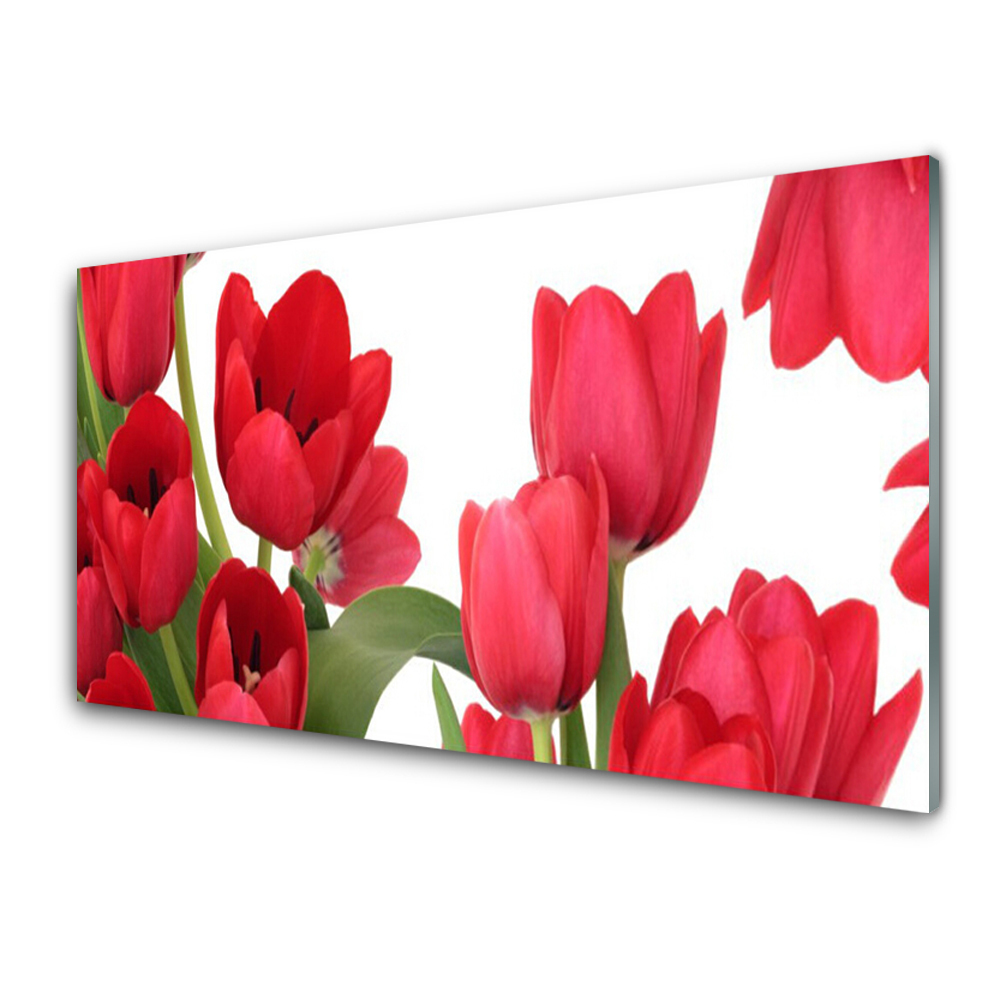 Tableau verre imprimé Tulipes rouges en gros plan
