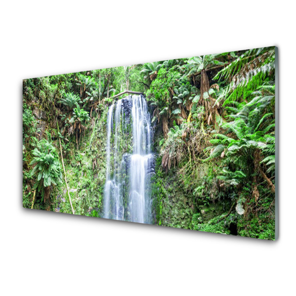 Tableau photo sur verre Chute d'eau au cœur de la jungle