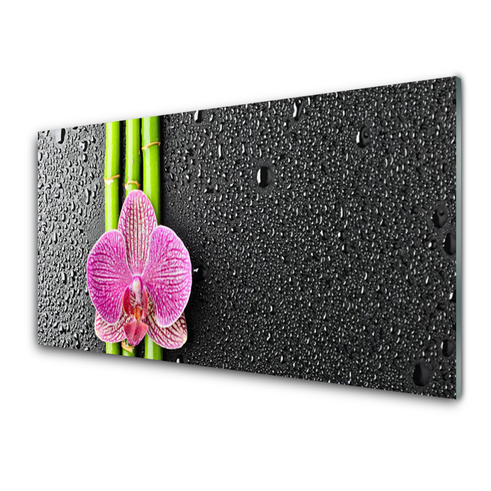 Tableau imprimé sur verre Fleur d'orchidée sur des pousses de bambou