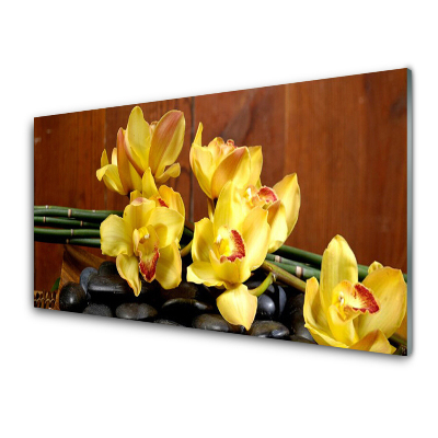 Tableau photo sur verre Fleurs d'orchidées jaunes