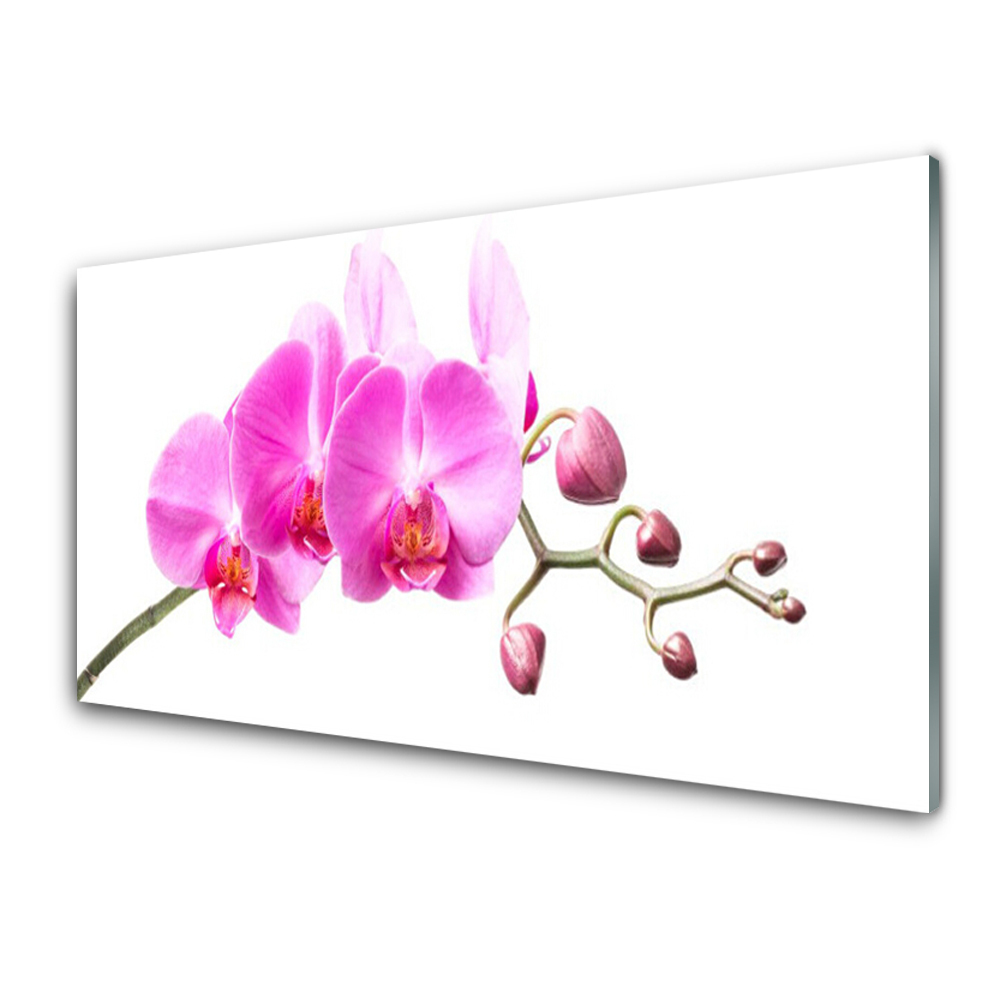 Tableau verre imprimé Fleurs d'orchidées roses