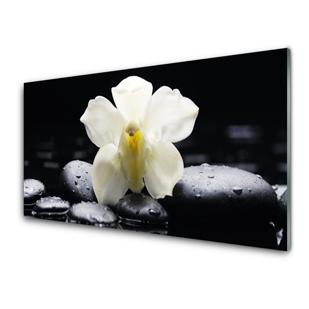 Tableau verre imprimé Orchidée blanche pierres noires