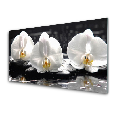 Tableau photo sur verre Orchidées blanches pierres noires