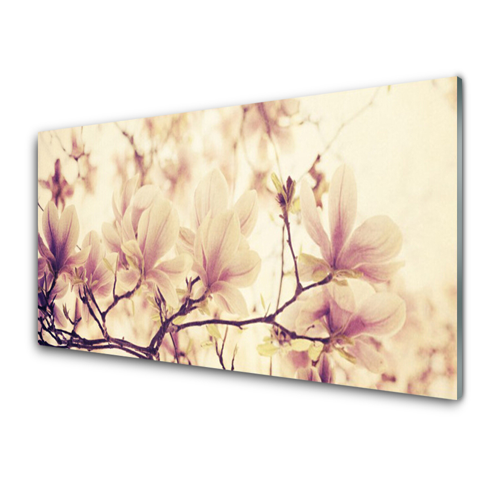 Tableau verre imprimé Branches et fleurs de magnolia en arrière-plan