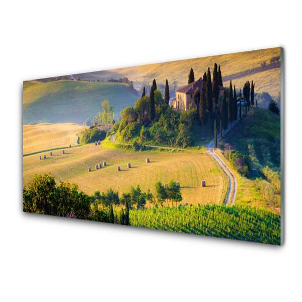 Tableau verre imprimé Maison sur une colline Champ