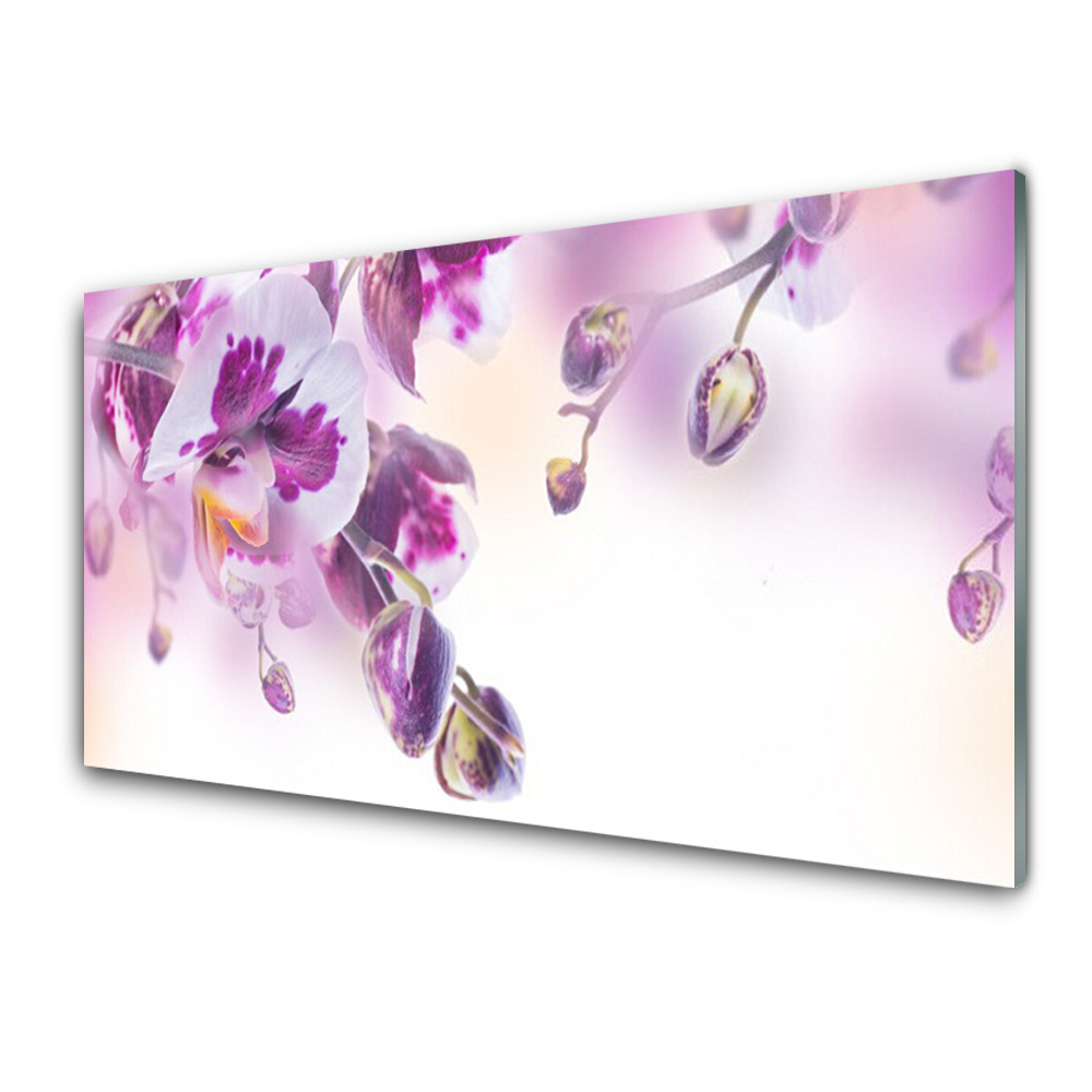 Tableau en verre Arrière-plan d'orchidées violettes