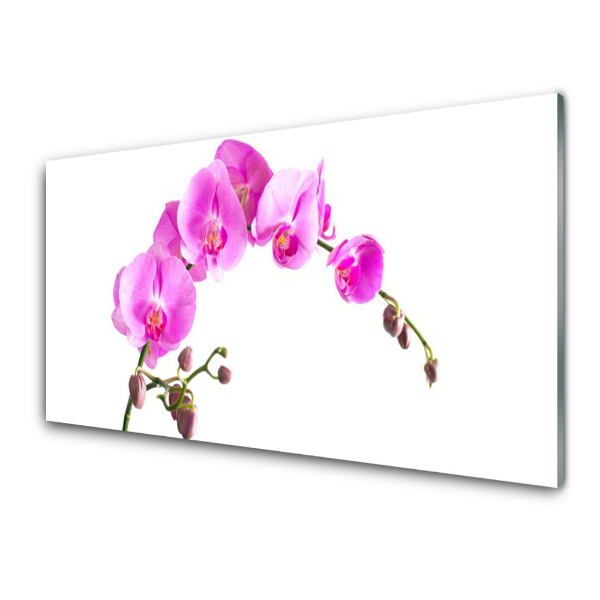 Tableau verre imprimé Orchidée rose sur fond blanc