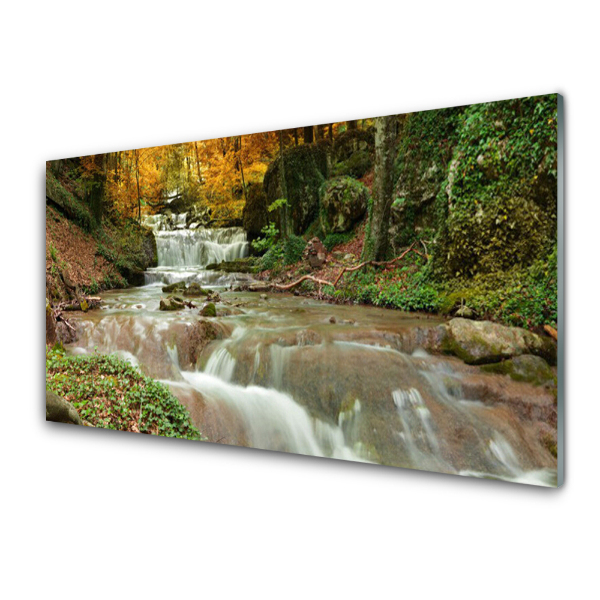 Tableau photo sur verre Chute d'eau dans la forêt