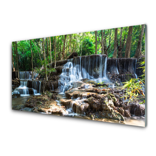 Tableau en verre Cascade dans une forêt