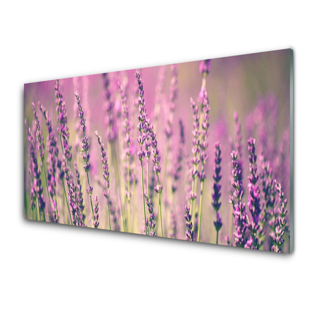 Tableau imprimé sur verre Fleurs Nature plante