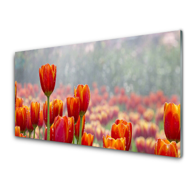 Tableau en verre Champ de tulipes rouges