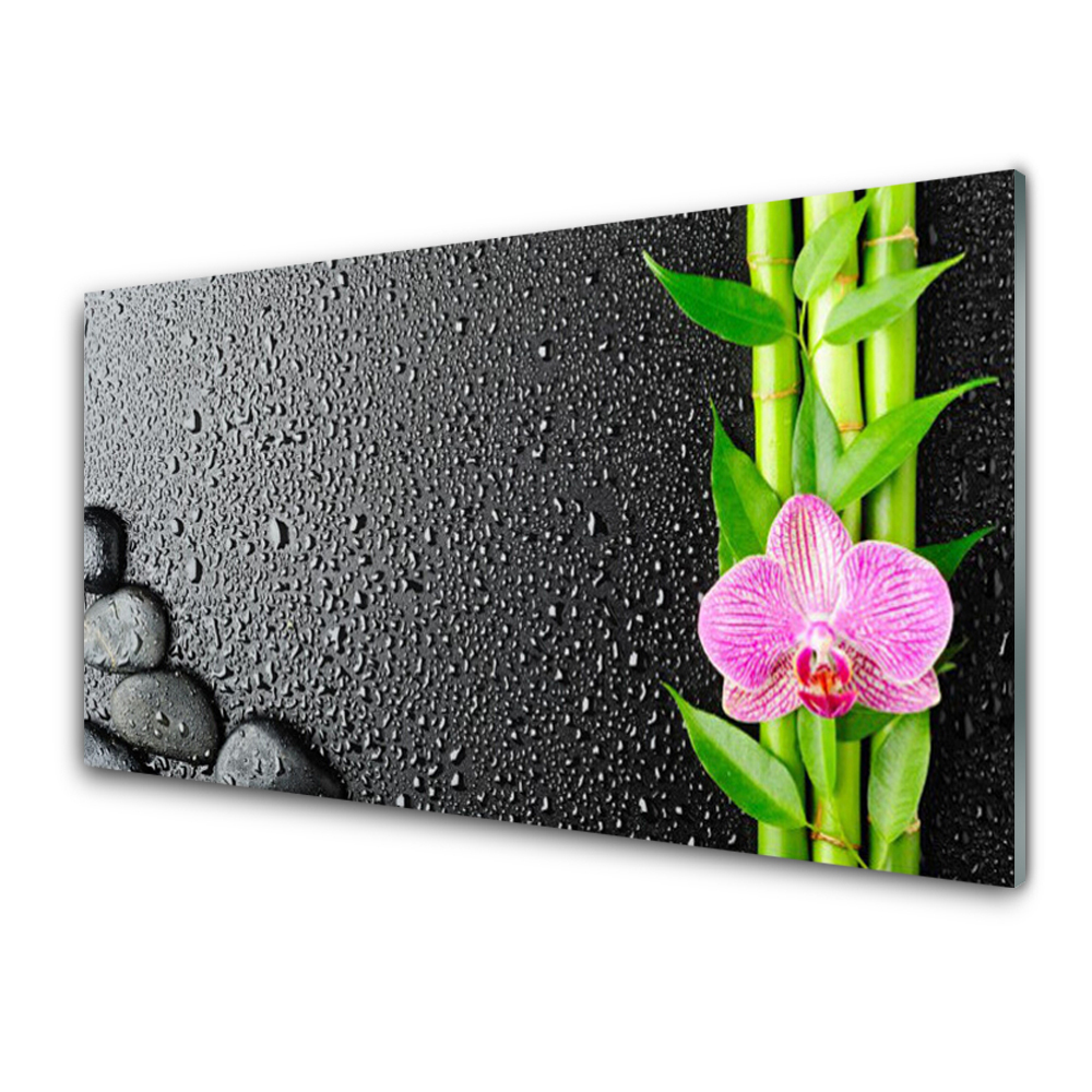 Tableau verre imprimé Bambou Pierres Fleur Plante