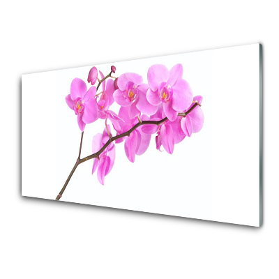 Tableau photo sur verre Fleur rose Nature