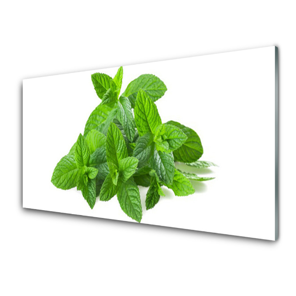 Tableau sur verre Feuilles de menthe fond blanc