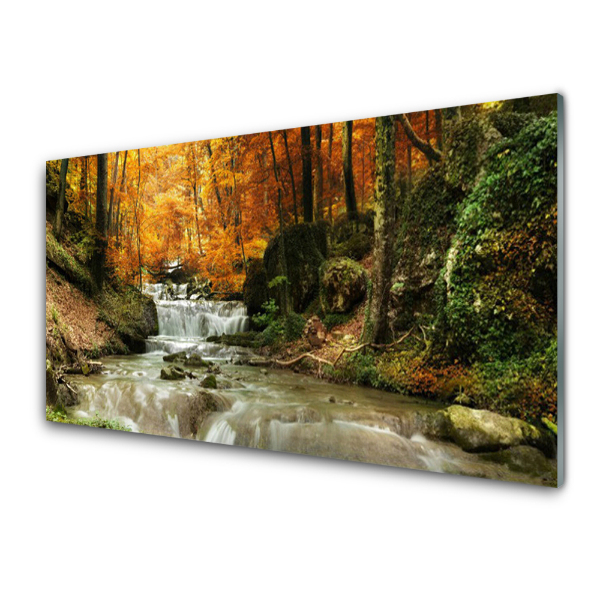 Tableau sur verre Cascade dans une forêt d'automne