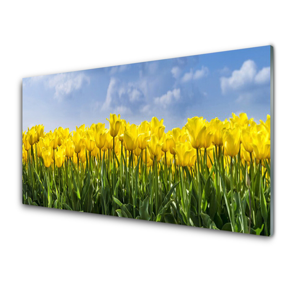 Tableau en verre Champ de tulipes jaunes