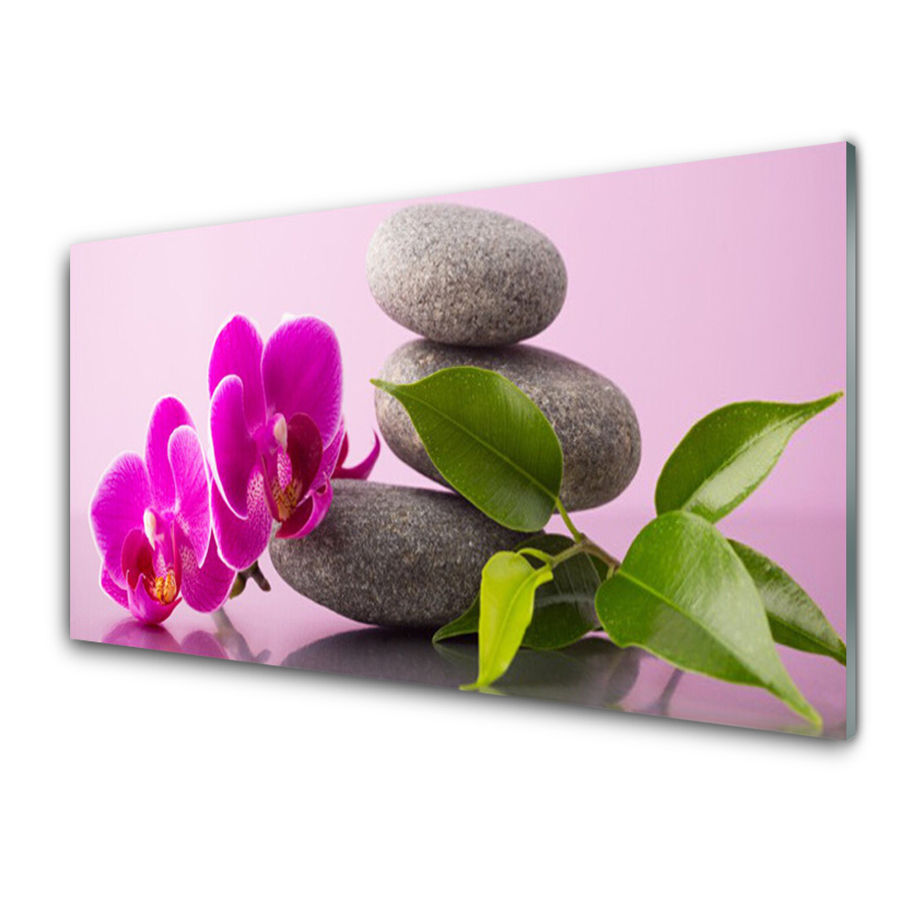 Tableau verre imprimé Fleur d'orchidée pierres fond rose