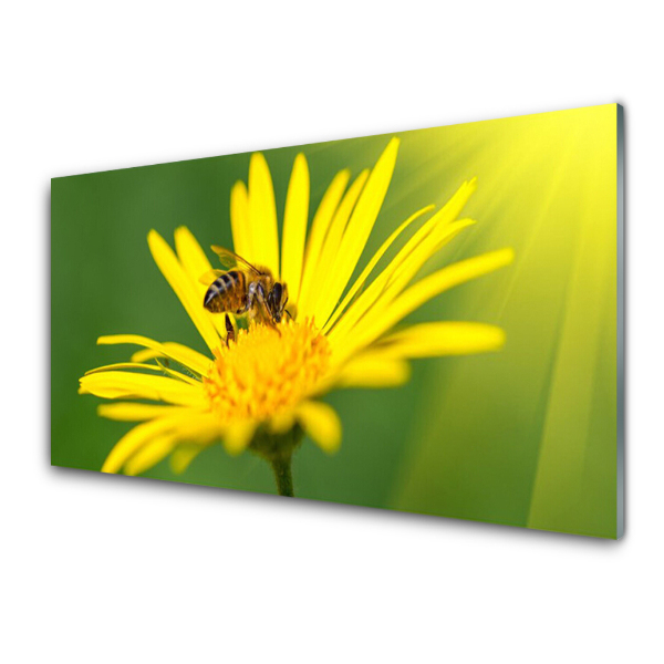 Tableau verre imprimé Abeille sur une fleur jaune