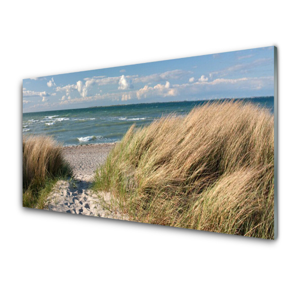 Tableau en verre Herbe sur les dunes au bord de la plage