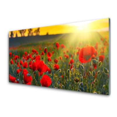 Tableau sur verre Prairie de coquelicots Soleil