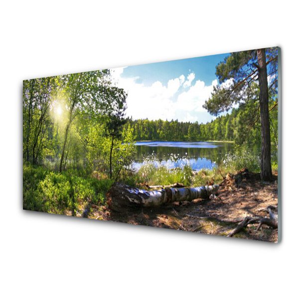 Tableau imprimé sur verre Lac dans la forêt Vue