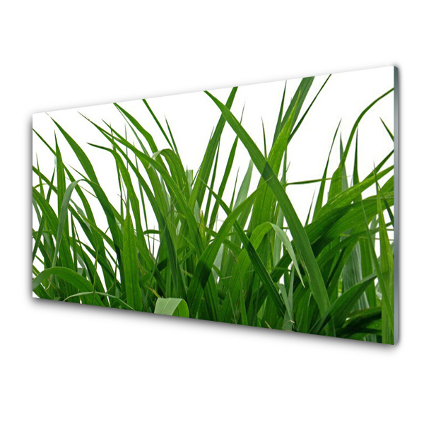 Tableau sur verre Touffe d'herbe en gros plan