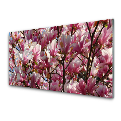 Tableau imprimé sur verre Branches et fleurs de magnolia