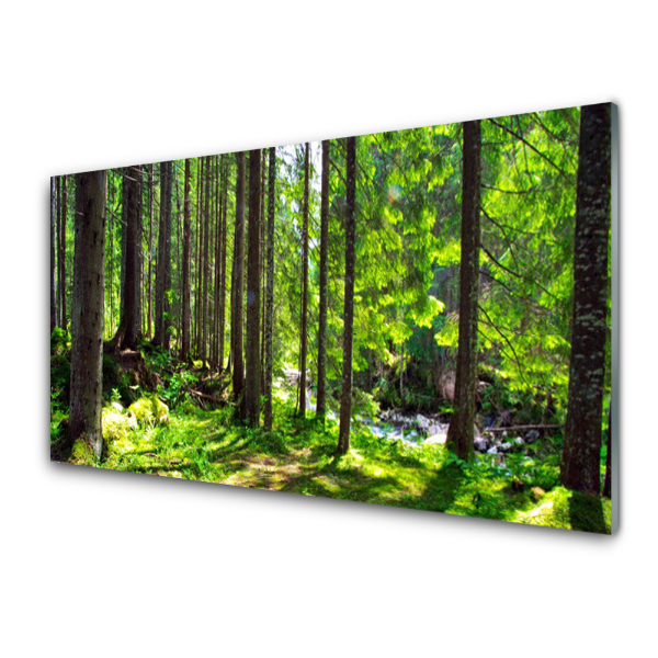 Tableau imprimé sur verre Forêt verte arbres nature