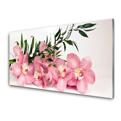 Tableau photo sur verre Fleurs et feuilles roses