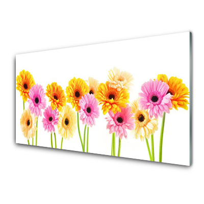 Tableau verre imprimé Fleurs de gerberas colorées
