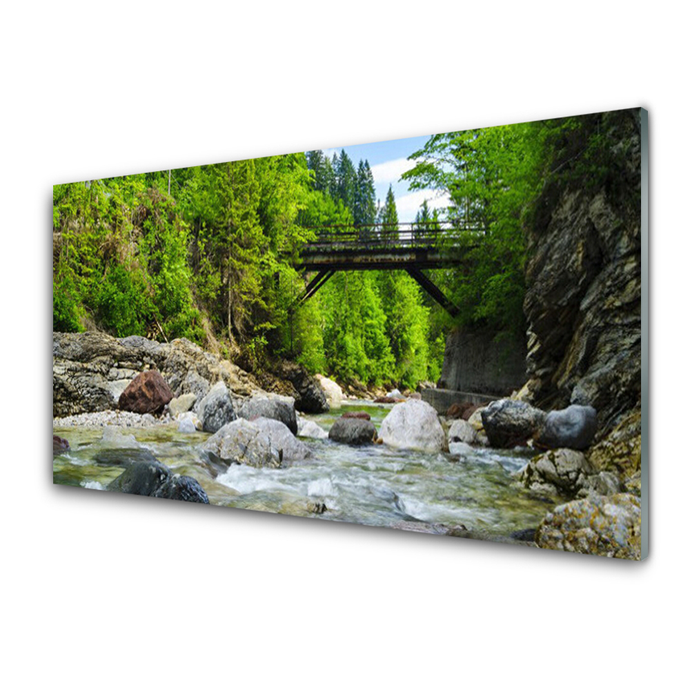 Tableau en verre Ruisseau dans la forêt et pont en bois